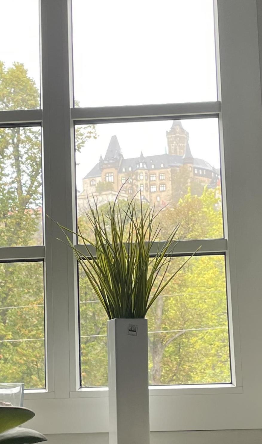 Apartamento Haus Kreuzberg Mit Schlossblick Wernigerode Exterior foto